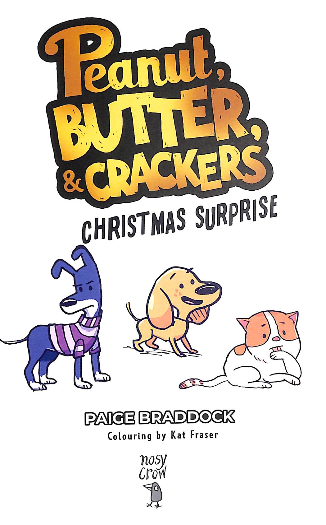 Christmas Surprise by Braddock, Paige (9781805134589) Browns Books