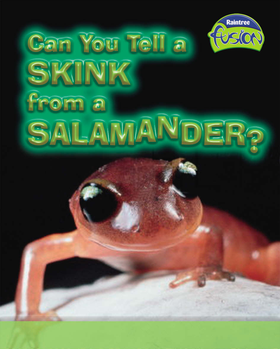 Can you tell a skink from a salamander?