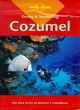 Image for Diving and snorkeling guide to Cozumel