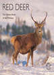 Image for Red Deer