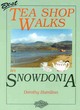 Image for Best tea shop walks in Snowdonia