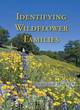 Image for Distinguishing wild flower families