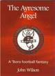 Image for The Ayresome Angel