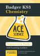 Image for Bagder KS3 chemistry: Homework activities with learning ladders