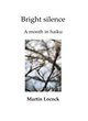 Image for Bright Silence