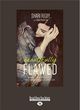 Image for Beautifully Flawed