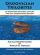Image for Ordovician trilobites of southern Ontario, Canada and the surrounding region