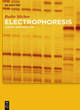 Image for Electrophoresis