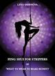 Image for Feng Shui for Strippers