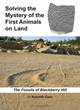 Image for Solving the mystery of the first animals on land  : the fossils of Blackberry Hill