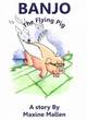 Image for Banjo the flying pig