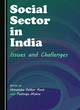 Image for Social sector in India  : issues and challenges