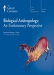 Image for Biological anthropology  : an evolutionary perspective