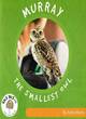 Image for Murray the Smallest Owl