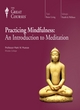 Image for PRACTICING MINDFULNESS: AN INTRODUCTION