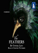 Image for The feathers