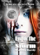 Image for Eye of the Storm: Omnibus Edition