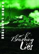 Image for Breaking lies : 2 : Breaking Trilogy book 2