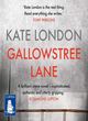 Image for Gallowstree Lane