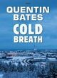 Image for Cold breath  : an Icelandic murder mystery