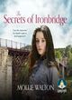 Image for The secrets of Ironbridge