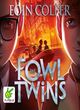 Image for The Fowl twins