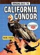 Image for Bringing back the California condor