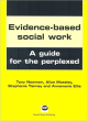 Image for Evidence-based Social Work