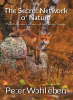 Image for The secret network of nature  : the delicate balance of all living things
