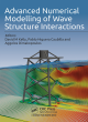 Image for Advanced numerical modelling of wave structure interaction