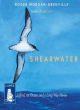 Image for Shearwater  : a bird, an ocean, and a long way home