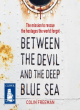Image for Between the devil and the deep blue sea  : the mission to rescue the hostages the world forgot