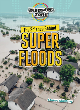 Image for The science behind super floods