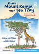 Image for Down Mount Kenya on a tea tray  : an adventure with childhood obesity