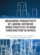 Image for Measuring productivity of labour-intensive work practices in road construction in Africa