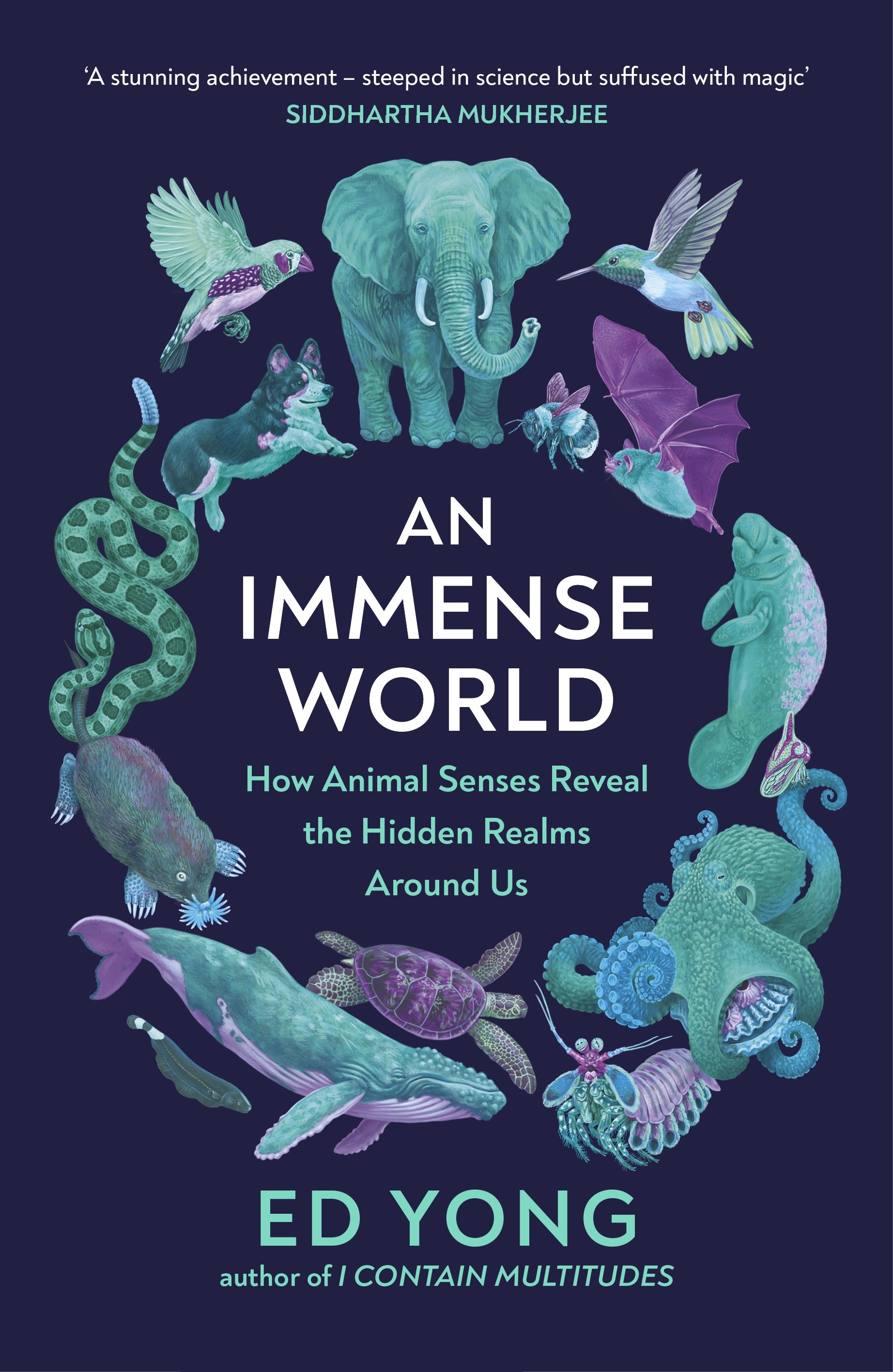 An immense world : how animal senses reveal the hidden realms around us An immense world : how animal senses reveal the hidden realms around us
