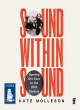 Image for Sound within sound  : opening our ears to the twentieth century