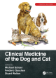 Image for Clinical medicine of the dog and cat