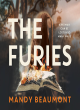 Image for The furies