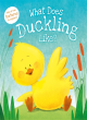 Image for What Does Duckling Like?