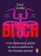 Image for Bitch  : a revolutionary guide to sex, evolution and the female animal
