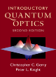 Image for Introductory quantum optics