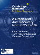 Image for A green and just recovery from COVID-19?  : government investment in the energy transition during the pandemic