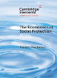 Image for The economics of social protection