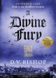 Image for A divine fury