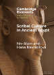 Image for Scribal culture in ancient Egypt