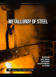 Image for Metallurgy of Steel