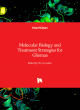 Image for Molecular biology and treatment strategies for gliomas