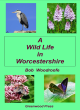 Image for A wildlife in Worcestershire  : the nature of poetry