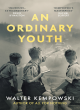 Image for An ordinary youth
